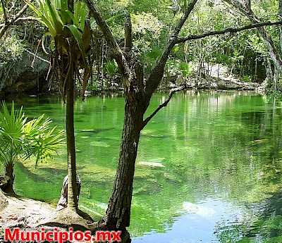 Foto de un cenote en Yucatán