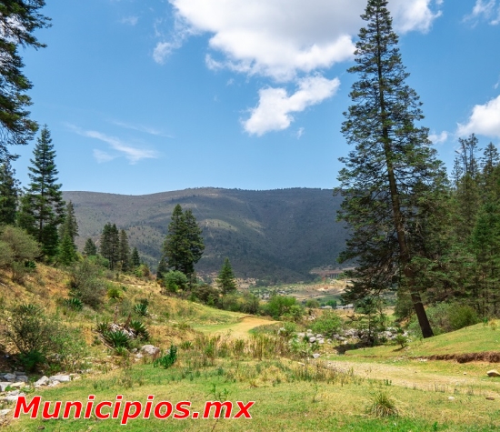 Clima de Arteaga, Coahuila