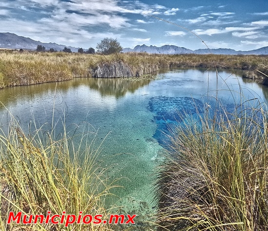 Cuatro Cienegas en Cuatrociengas, Coahuila