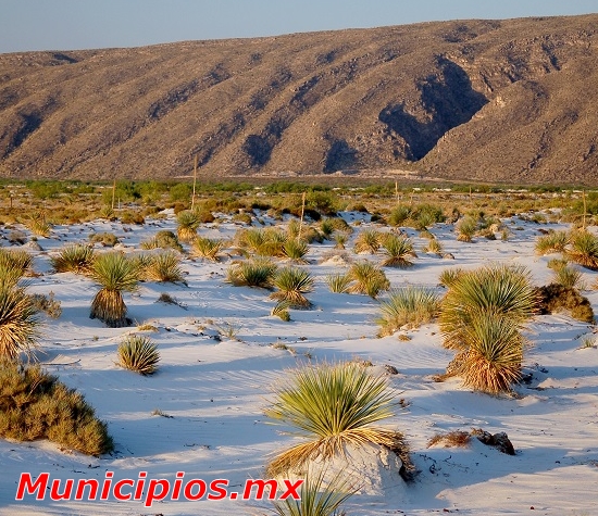 Parque Ecoturístico en Cuatrociénegas
