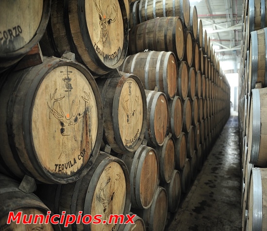 Tequila en Arandas, Jalisco (Mexico)