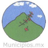 Pluma Hidalgo