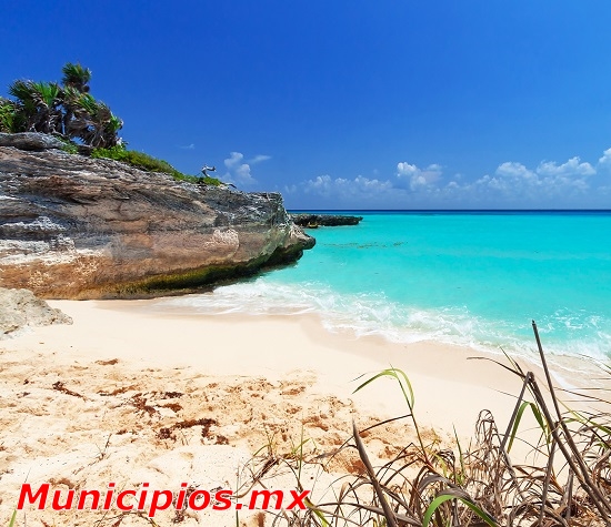 Playa bonita y limpia en Playa del Carmen