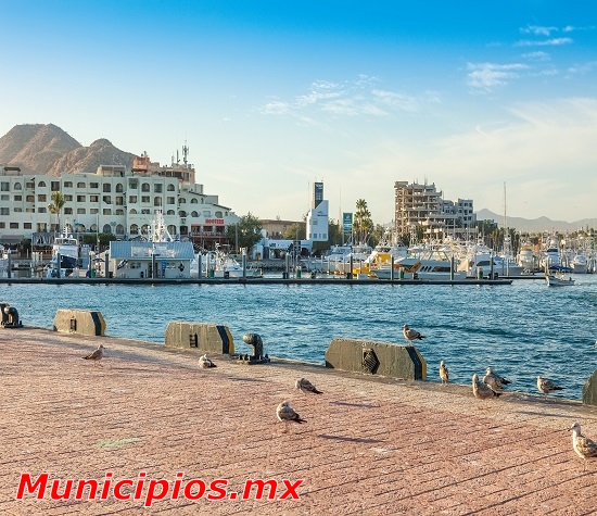 Puerto Paraiso en Cabo San Lucas