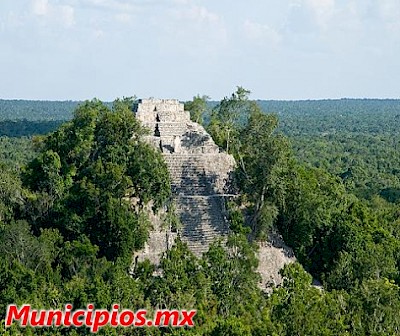 Foto de las ruinas en Calakmul
